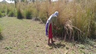 Video mesum desi di kebun antara si cabul dan buruh kasar