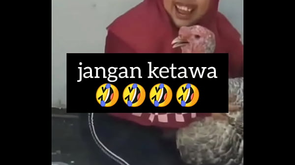 Gadis montok tertawa penuh gairah