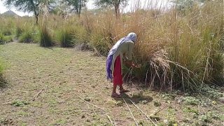 साली, तू तो पक्की रांड बनने चली है! सुन, हमने तेरी सुहागरात की गर्म फोटो खींची थी, जब तुझे चोदा था देसी स्टाइल में।